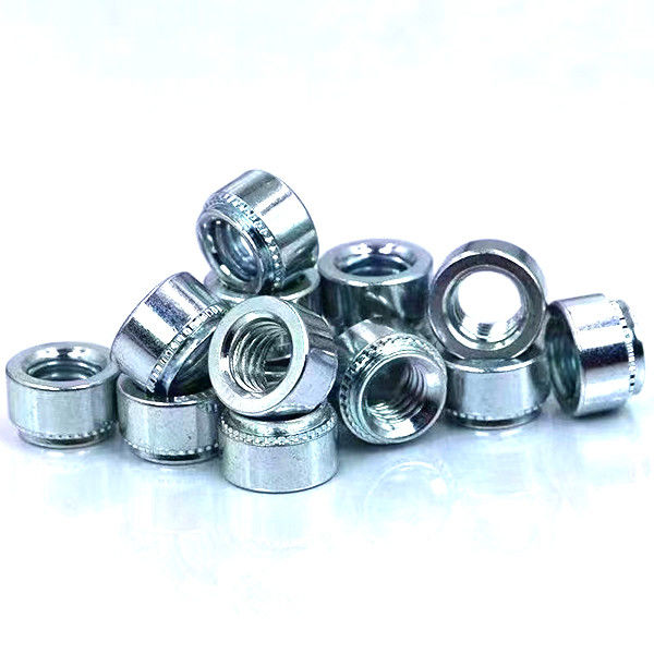 Rebites de acero inoxidable Fijaciones flotantes autoadhesivas Uso para el servicio personalizado de tornillo de marco