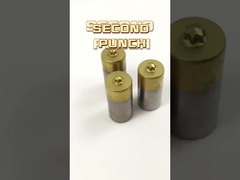 Por encargo el diverso jefe profesional de proceso del sacador de las formas